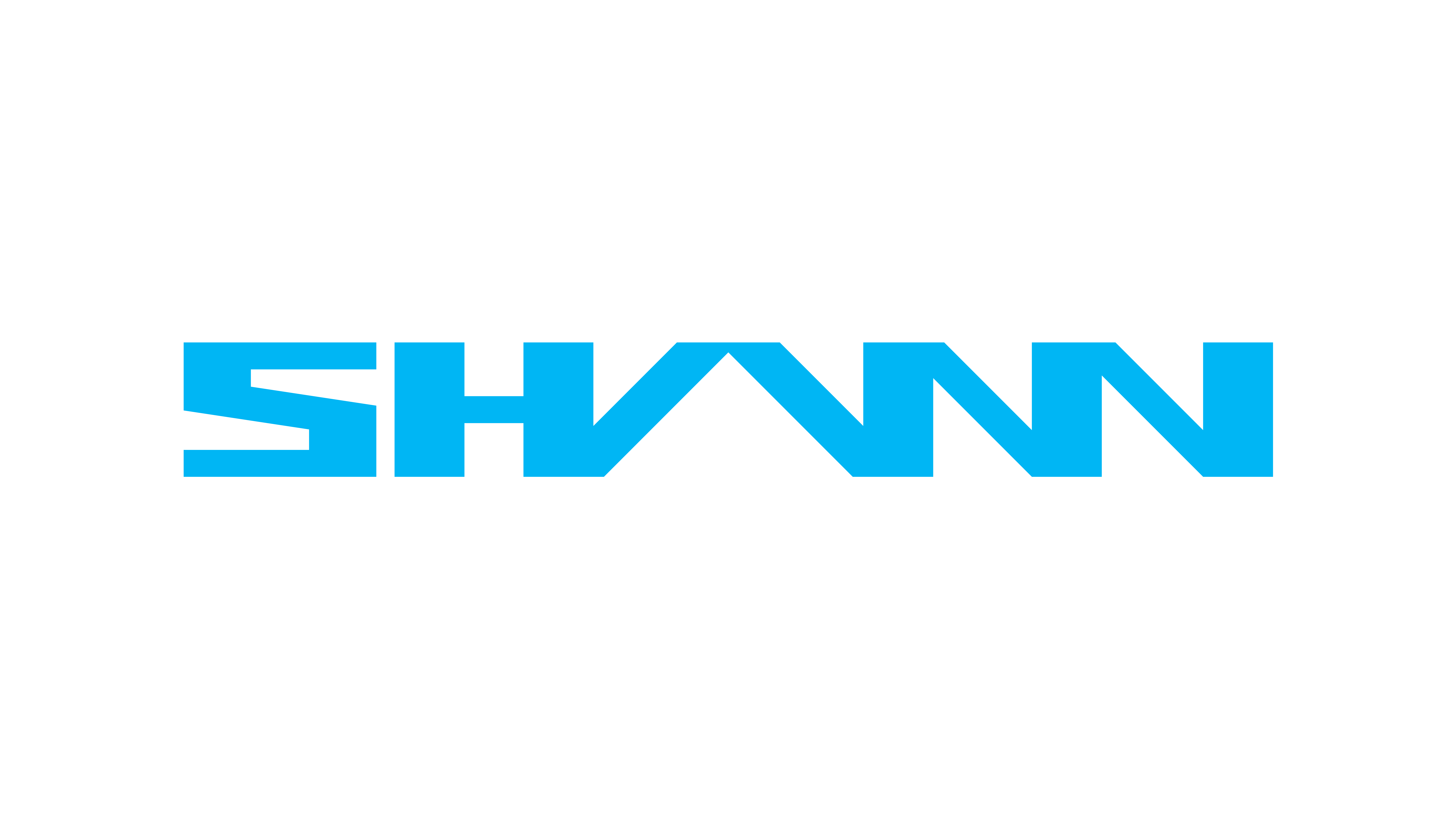 Логотип компании SHANN