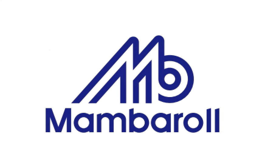 Логотип компании Mambaroll Drive Technology Co., Ltd.